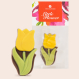Little Flower Tulip Solo - Chocolade tulp