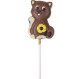 Chocolade lolly - Kat
