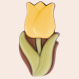 Little Flower Tulip Solo - Chocolade tulp